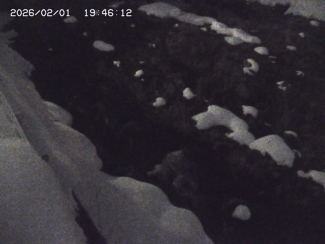 取得できませんでした