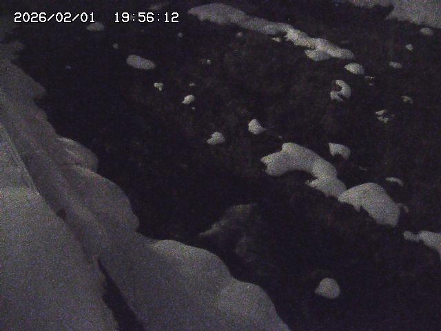 取得できませんでした