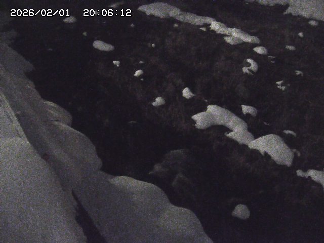 取得できませんでした