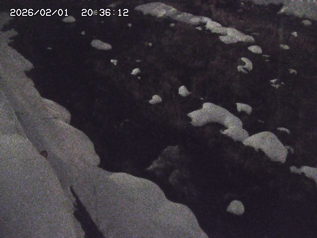 取得できませんでした