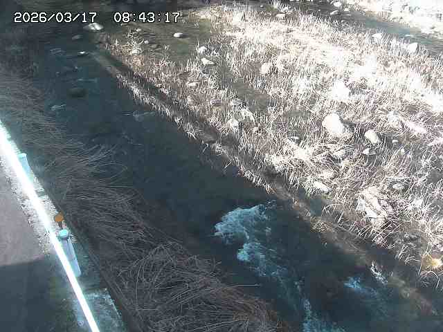 取得できませんでした