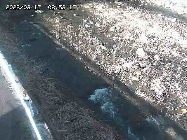 取得できませんでした