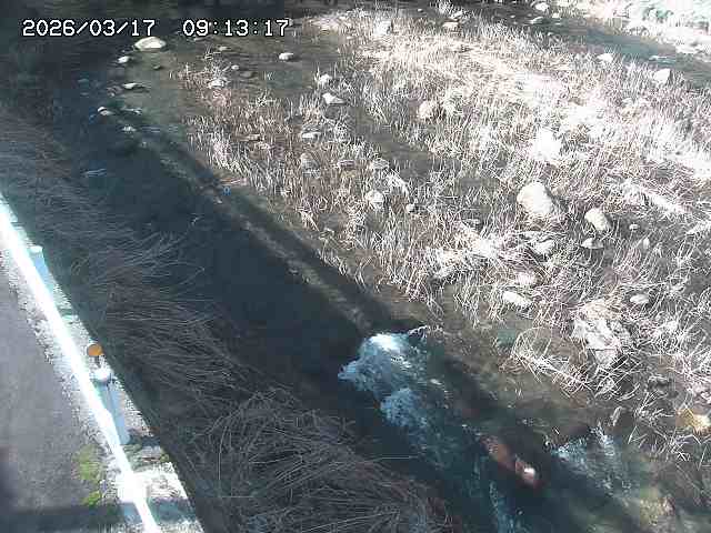 取得できませんでした