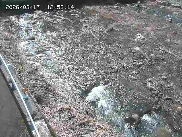 取得できませんでした