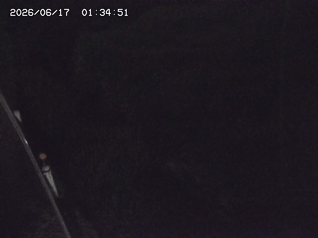 取得できませんでした