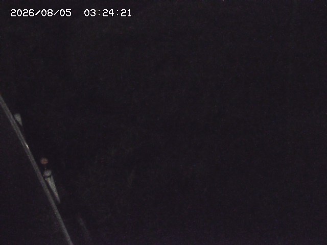 取得できませんでした