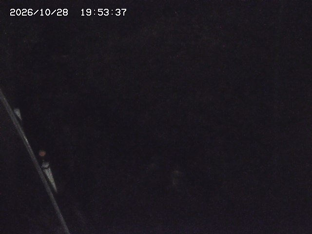 取得できませんでした