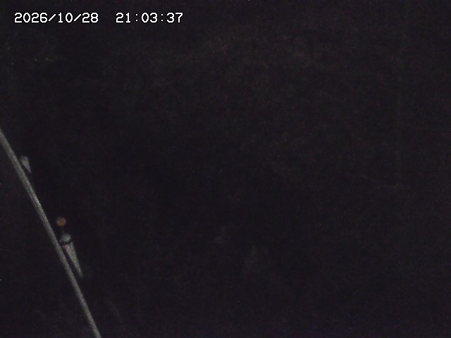 取得できませんでした