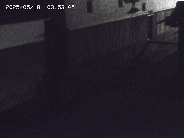 取得できませんでした