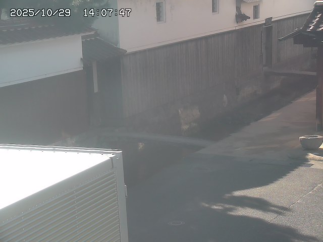 取得できませんでした