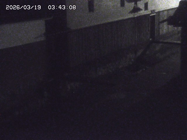 取得できませんでした