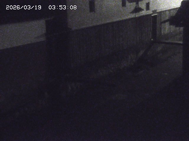 取得できませんでした