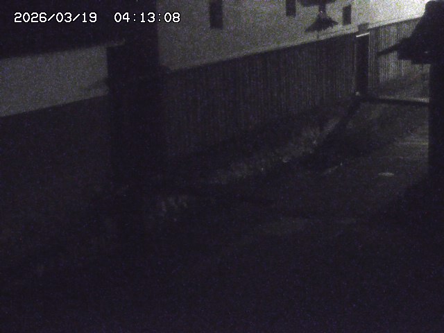 取得できませんでした