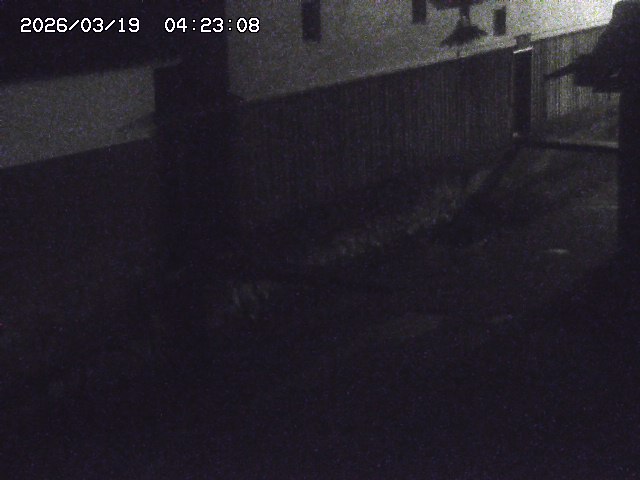 取得できませんでした