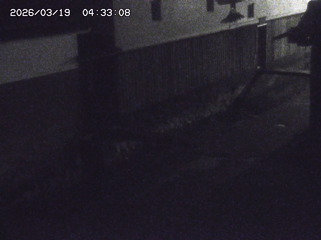 取得できませんでした