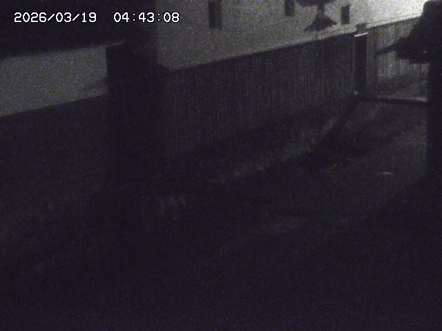 取得できませんでした