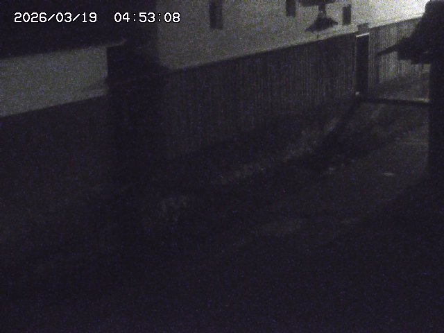 取得できませんでした