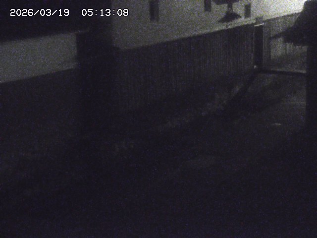 取得できませんでした