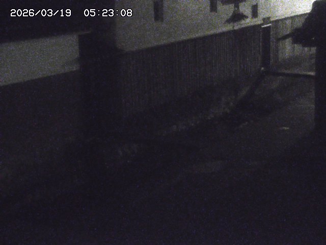 取得できませんでした