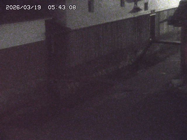 取得できませんでした