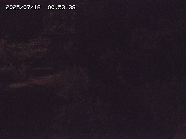 取得できませんでした