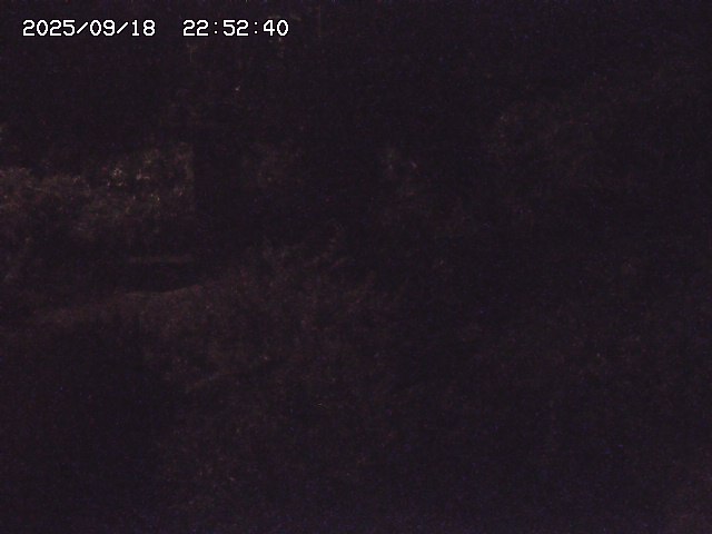 取得できませんでした