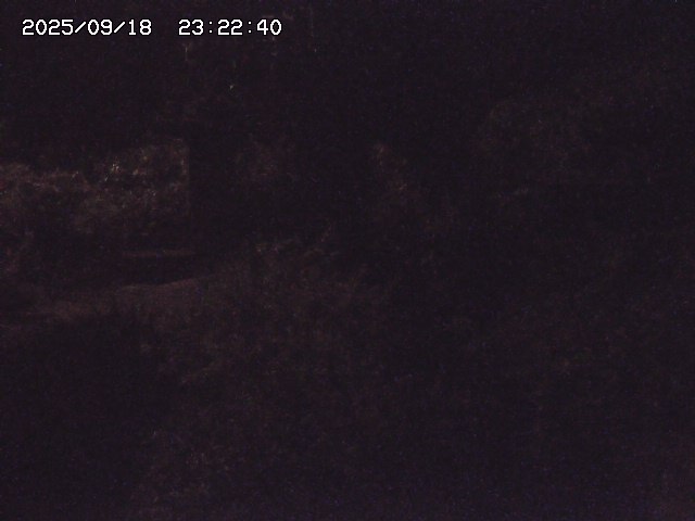 取得できませんでした