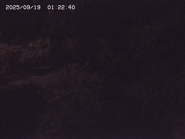 取得できませんでした