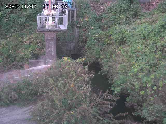 取得できませんでした