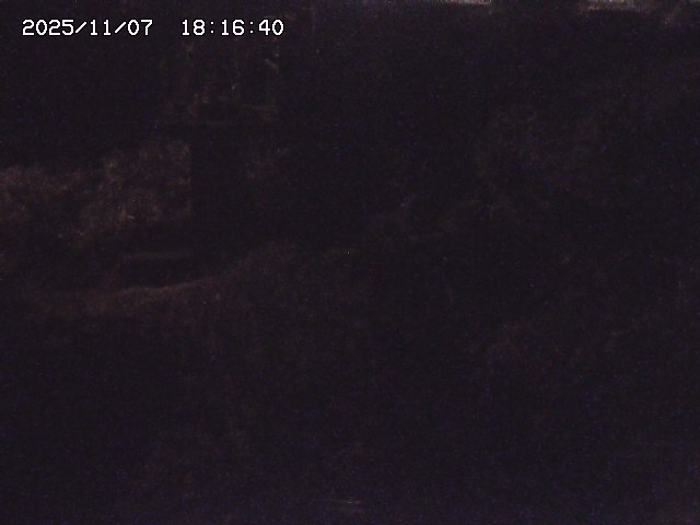 取得できませんでした