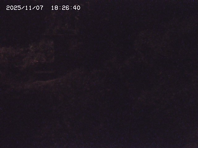 取得できませんでした