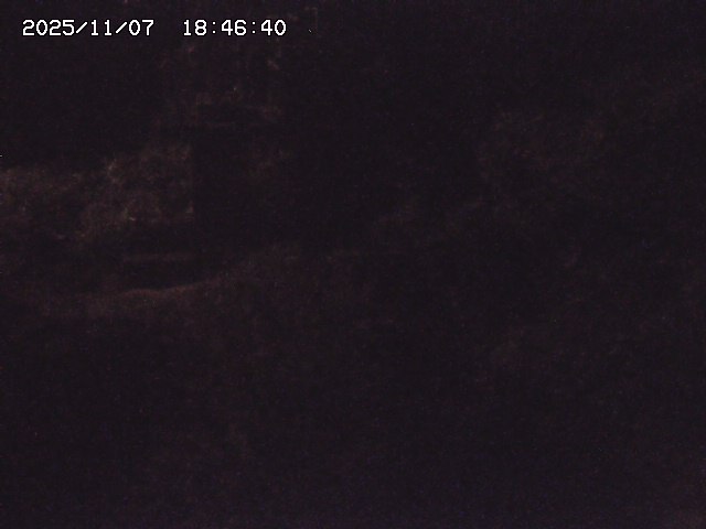 取得できませんでした