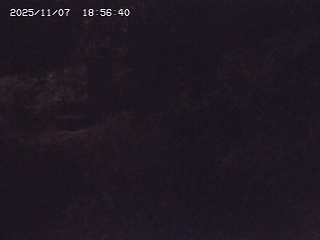 取得できませんでした