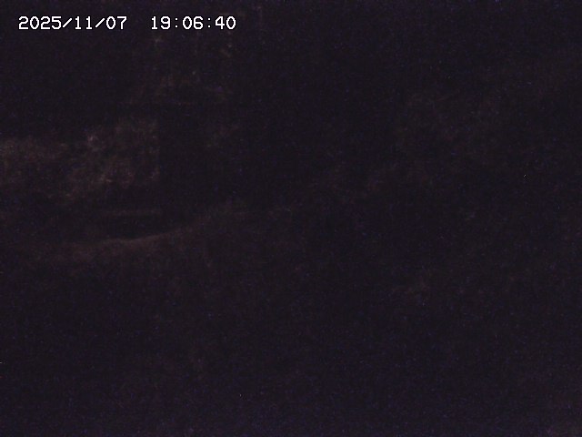 取得できませんでした