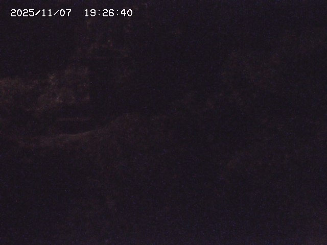 取得できませんでした