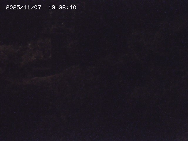 取得できませんでした