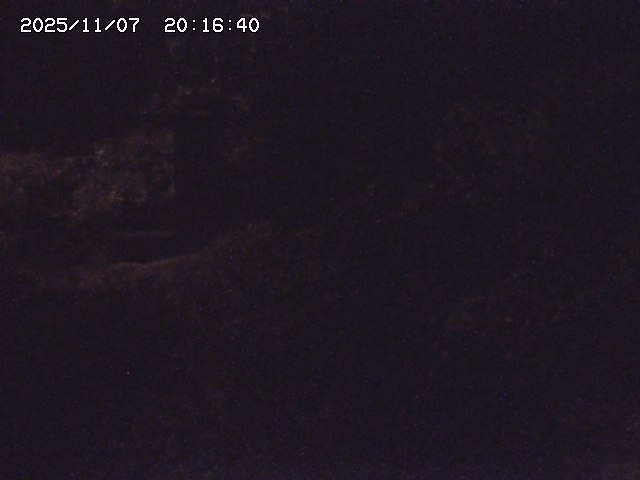 取得できませんでした