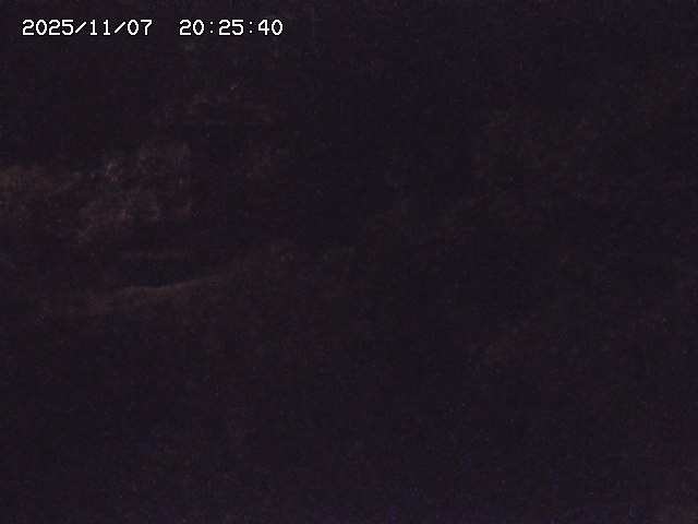 取得できませんでした