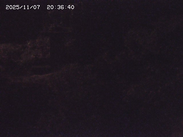 取得できませんでした