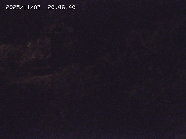 取得できませんでした