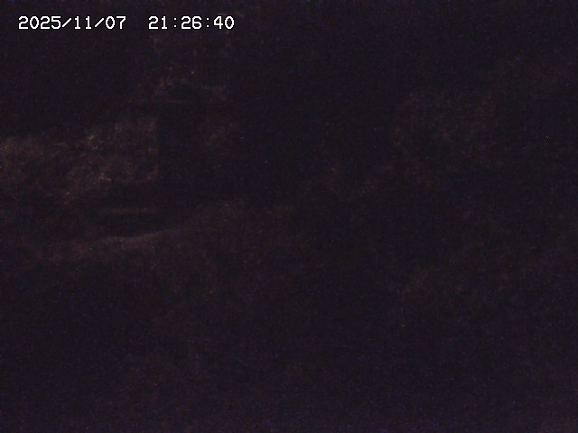 取得できませんでした