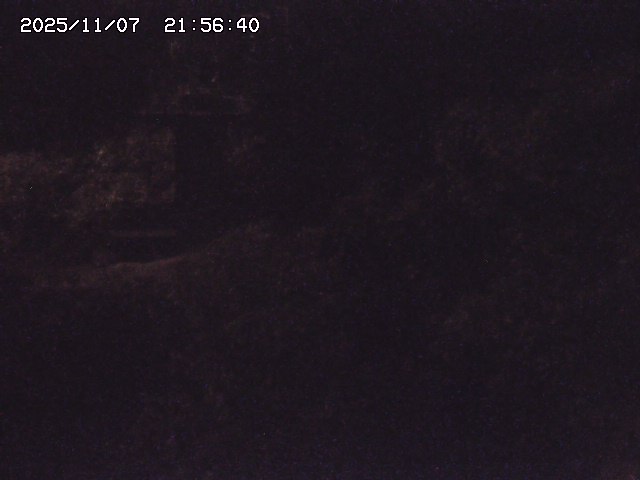 取得できませんでした