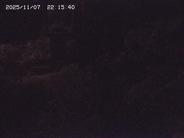 取得できませんでした