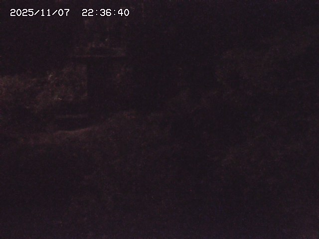 取得できませんでした