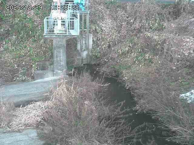 取得できませんでした