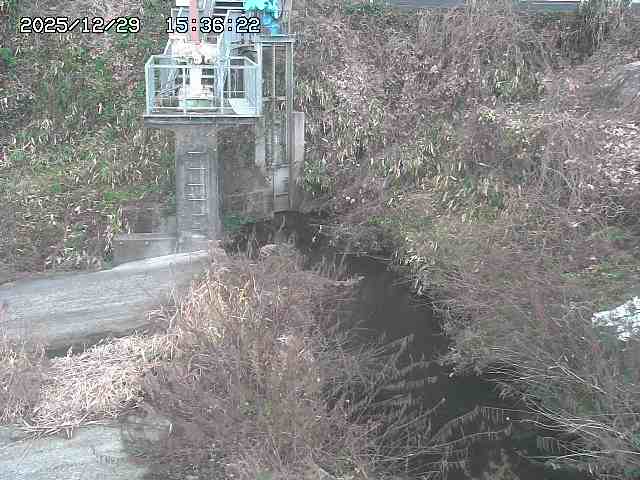 取得できませんでした