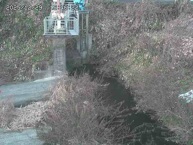 取得できませんでした