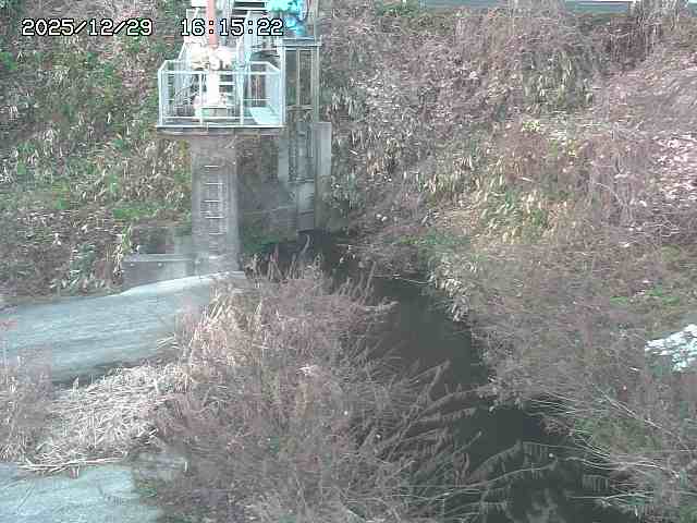 取得できませんでした