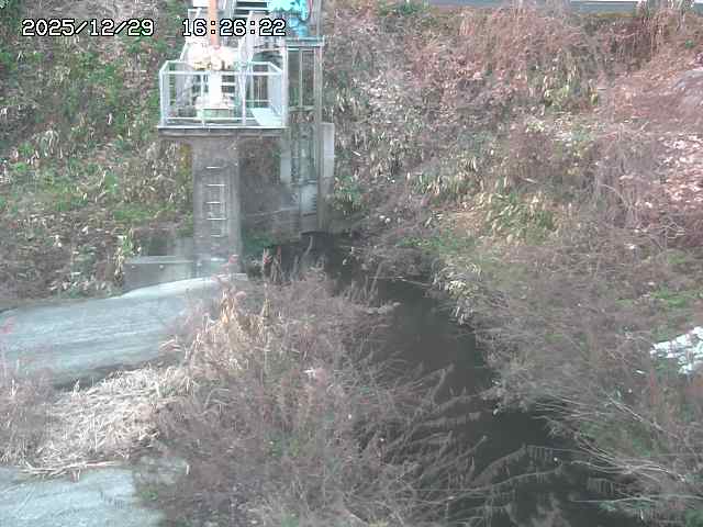 取得できませんでした