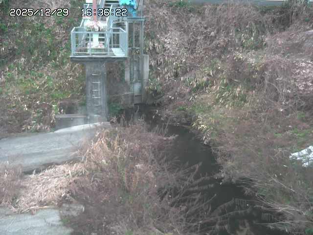 取得できませんでした